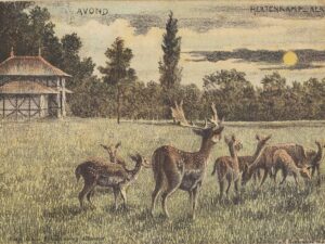 Alkmaar - Hertenkamp - Avond [002-6823