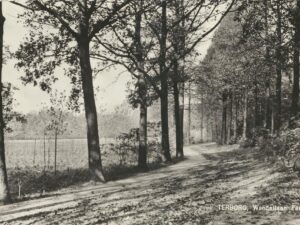 Terborg - Wandellaan - Paasberg [002-6923