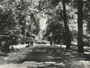 Heeze - Boslaan [002-6927