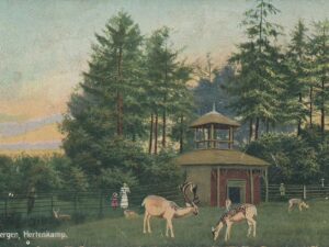 Driebergen - Hertenkamp [002-6956