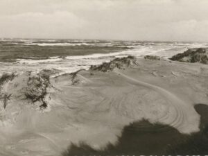 duinen [002-7106