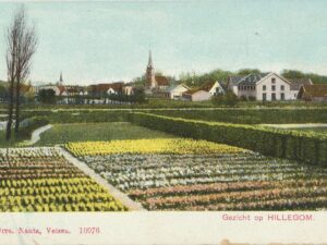 Hillegom - Gezicht op [002-7117