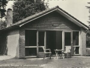 Bakkeveen - Bungalow in 't Hout [002-7265