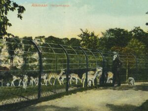 Alkmaar - Hertenkamp [002-7342