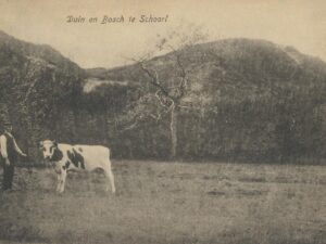 Schoorl - Duin en Bosch - boer met koe [002-7344
