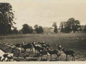 Den Haag - Hertenkamp [002-7420