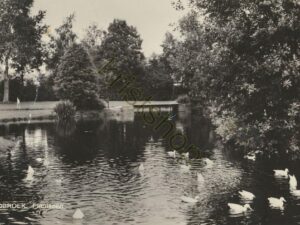 Zuidbroek - Plantsoen [002-7547
