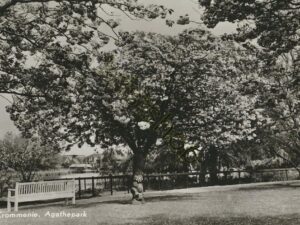 Krommenie - Agathepark [002-7600