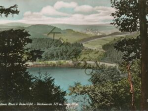 Gemündener Maac Da?n/Eifel   [004-0172