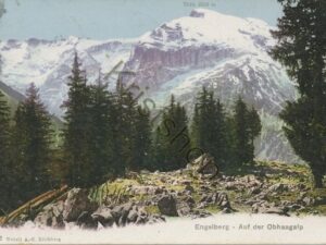 Engelberg-Auf der Obhaagalp  [004-0187