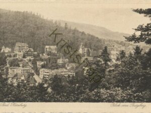 Bad Harzburg - Blick vom Burgberg [004-1001
