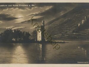 Mäuseturm und ruine Ehrenfels a Rh [004-1061