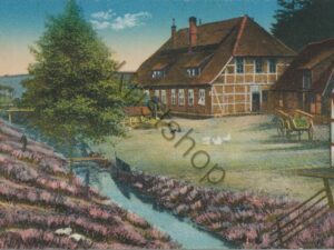 ??? Lüneburger Heide ??? [004-1177