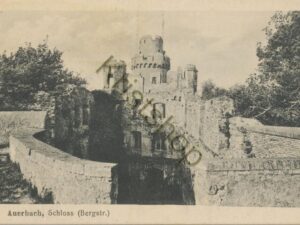 Auerbach - Schloss [004-1193