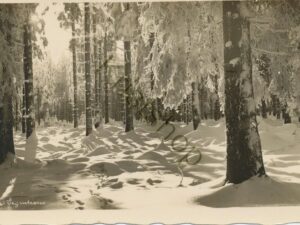 Altes Forsthaus - Öbernassau  [004-1335