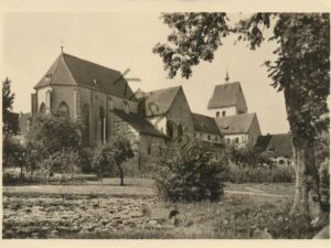 Insel Reichenau [004-1596