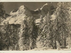 ??? Schweiz - Suisse ???  [004-1659