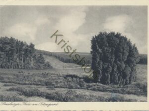 Lünerburge Heide am Totengrund  [004-1676