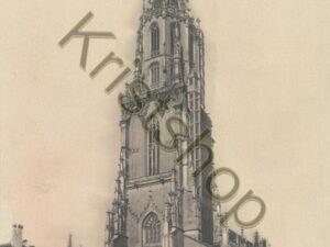 Bern - Das Münster  [004-1772