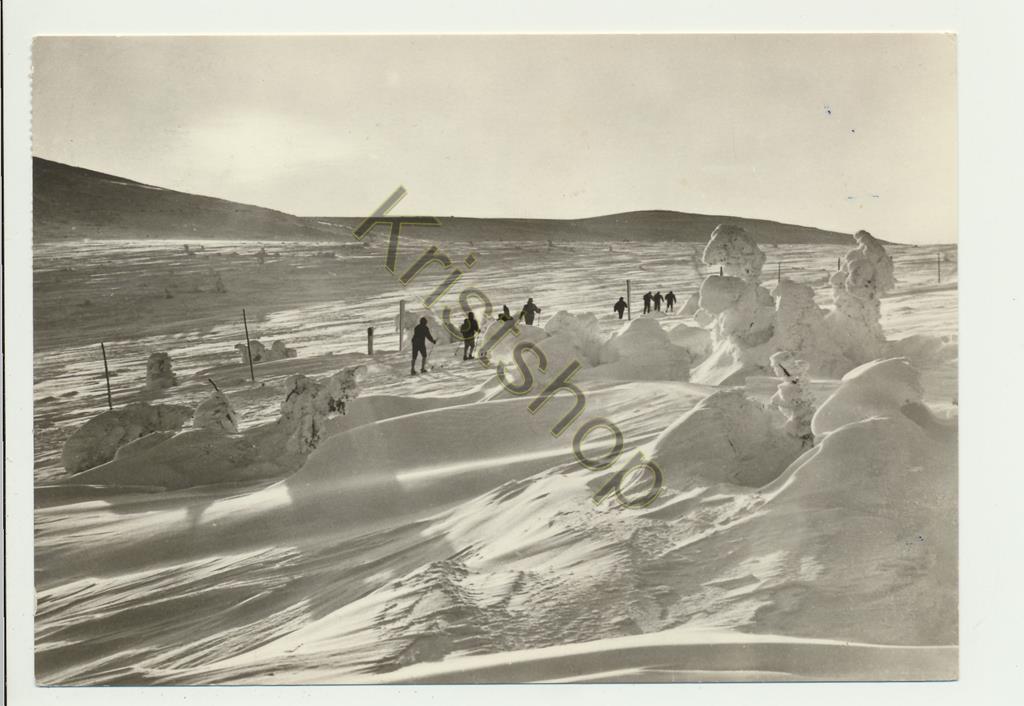 KRST004-1860_0.jpg Skien Grüße zu Weihnachten [004-1860