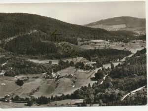 Baden-Baden - Waldhotel Der Delighof [004-1900