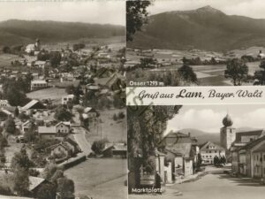 Lam - Bayer Wald [004-1962