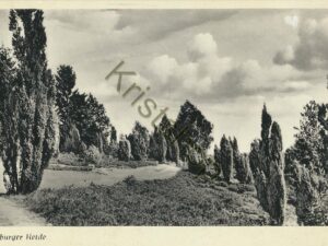 Lünerburger Heide [004-1983
