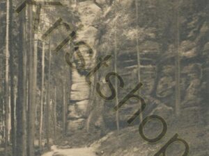 Sächs Schweiz - Höllengrund mit Zwillinge   [004-2010