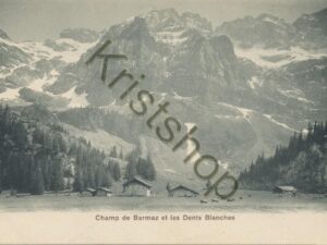 Champ de Barmaz et les Dents Blanches [004-2030