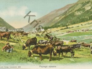 Paysage alpestre [004-2138