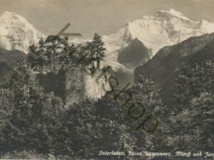 Interlaken - Ruine Unspunnen   [004-2166