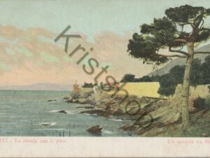 Nervi - La strada con il pino [004-2267