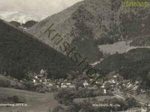 Schneeberg - Waldegg - N- Oe [004-2739