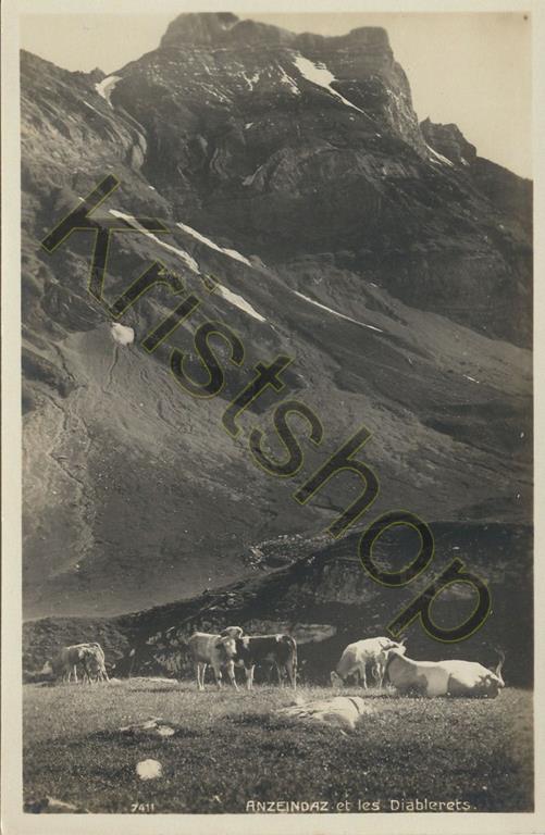 KRST004-3094_0.jpg Anzeindaz et les Diablerets [004-3094