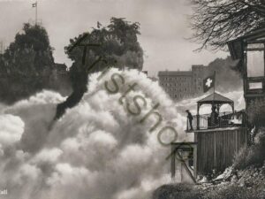 Rheinfall  [004-3109