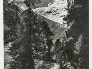 Piz Roseg [004-3142