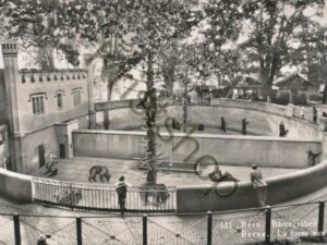 Bern - Bärengraben  [004-3305