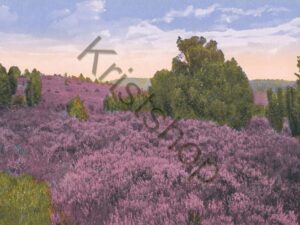 Heide  [004-3319