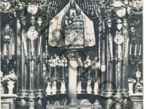 Chartres - Cathedrale [004-3455