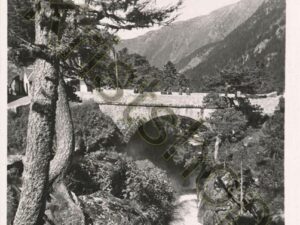 Environs de Cauterets (Htes-Pyr) [004-3482