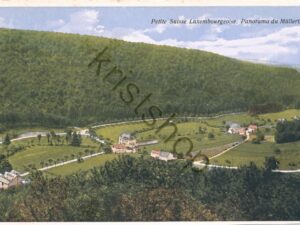 Petit Suisse Luxembourgeoise - Panorama du Müllerthal [004-3671