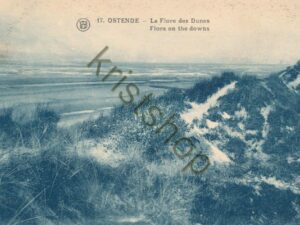 Ostende - La Flore des Dunes [004-3756