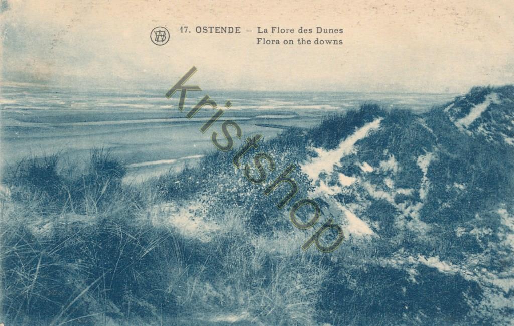 KRST004-3756_0.jpg Ostende - La Flore des Dunes [004-3756