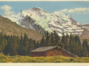 Wengen - Jungfrau [004-4431