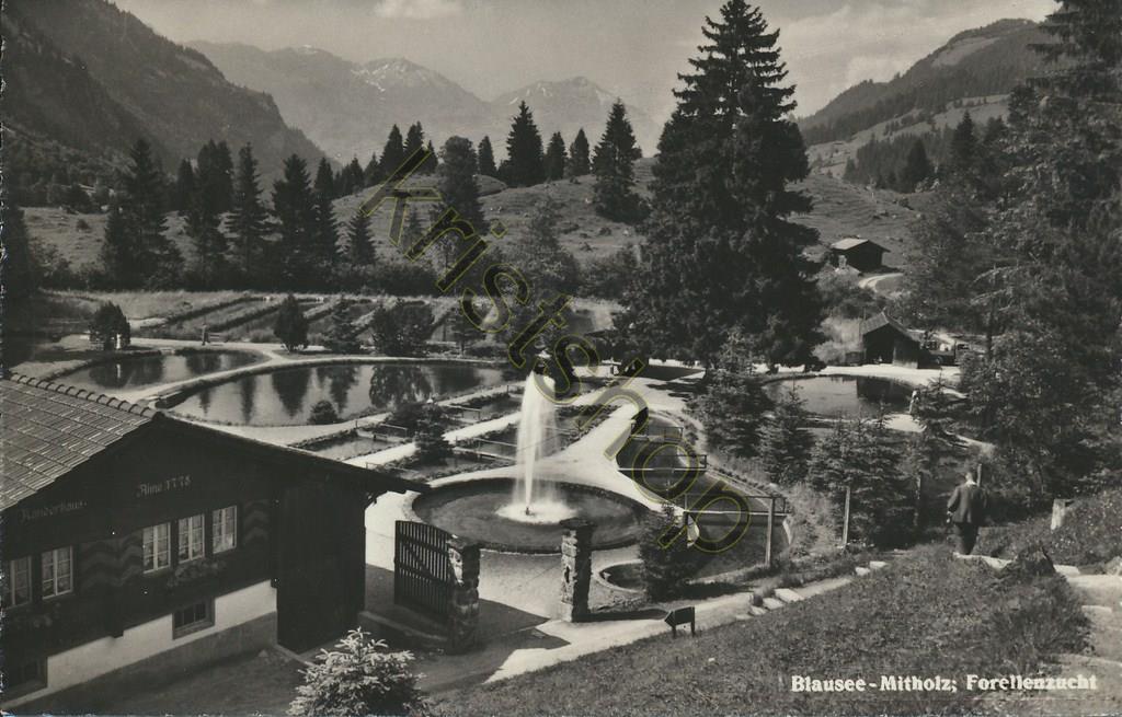 KRST004-4646_0.jpg Blausee-Mitholz - Forellenzucht [004-4646