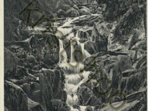 Harz - Steinerne Renne [004-4885