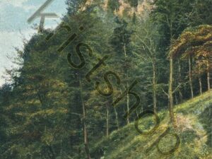 Ilsenburg - Ilsenstein [004-4999