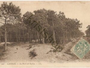 Cayeux - La Forét de Sapins [004-5020)