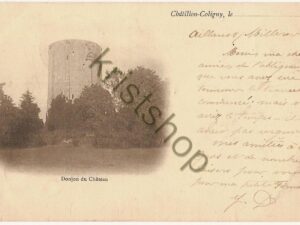 Châtillon Coligny - Donjou du Château [004-5042)