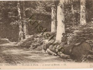 Compiegne - Un Coin de Forét [004-5057)